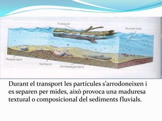 Transport i evolució dels cursos fluvials

Durant el transport les partícules s’arrodoneixen i
es separen per mides, això ...