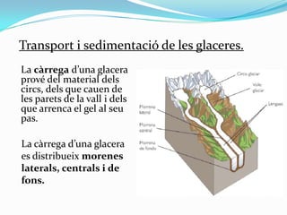 Transport i sedimentació de les glaceres.
La càrrega d’una glacera
prové del material dels
circs, dels que cauen de
les pa...