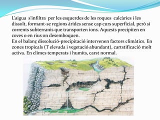L’aigua s’infiltra per les esquerdes de les roques calcàries i les
dissolt, formant-se regions àrides sense cap curs super...
