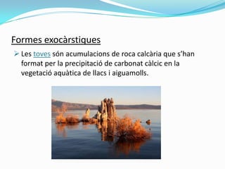 Formes exocàrstiques
 Les toves són acumulacions de roca calcària que s’han
format per la precipitació de carbonat càlcic...