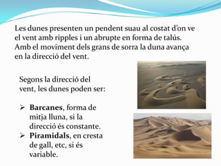 Les dunes presenten un pendent suau al costat d’on ve
el vent amb ripples i un abrupte en forma de talús.
Amb el moviment ...