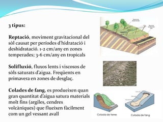 3 tipus:
Reptació, moviment gravitacional del
sòl causat per períodes d’hidratació i
deshidratació. 1-2 cm/any en zones
te...