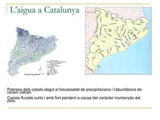 L’aigua a Catalunya




Pobresa dels cabals degut a l’escassetat de precipitacions i l’abundància de
rocam calcari.
Cursos fluvials curts i amb fort pendent a causa del caràcter muntanyós del
país.
 