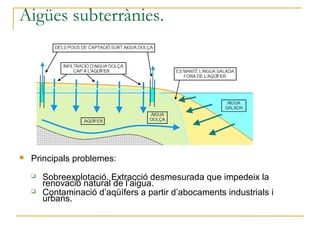 Aigües subterrànies.




   Principals problemes:
       Sobreexplotació. Extracció desmesurada que impedeix la
        renovació natural de l’aigua.
       Contaminació d’aqüífers a partir d’abocaments industrials i
        urbans.
 