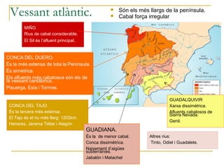 Vessant atlàntic.                                  
                                                   
                                                       Són els més llargs de la península.
                                                       Cabal força irregular
       MIÑO.
       Rius de cabal considerable.
       El Sil és l’afluent principal.




                                                                             GUADALQUIVIR
CONCA DEL TAJO.                                                              Xarxa dissimètrica.
És la tercera més extensa.                                                   Afluents cabalosos de
                                                                             Sierra Nevada.
El Tajo és el riu més llarg: 1202km.
                                                                             Genil.
Henares, Jarama Tiétar i Alagón.
                                        GUADIANA.
                                        És la de menor cabal.      Altres rius:
                                        Conca dissimètrica.        Tinto, Odiel i Guadalete.
                                        Naixement d’aigües
                                        subterrànies.
                                        Jabalón i Matachel
 