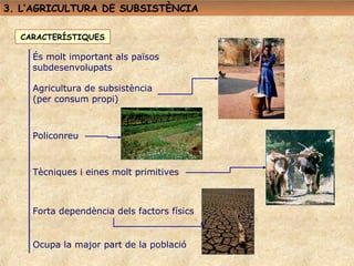 3. L’AGRICULTURA DE SUBSISTÈNCIA

  CARACTERÍSTIQUES

    És molt important als països
    subdesenvolupats

    Agricultura de subsistència
    (per consum propi)



    Policonreu



    Tècniques i eines molt primitives



    Forta dependència dels factors físics


    Ocupa la major part de la població
 
