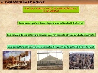 4. L’AGRICULTURA DE MERCAT

                    PAS DE L’AGRICULTURA DE SUBSISTÈNCIA A
                                  LA DE MERCAT




              Comença als països desenvolupats amb la Revolució Industrial




   Les millores de les activitats agràries van fer possible obtenir productes sobrants




    Una agricultura excedentària va permetre l’augment de la població i l’èxode rural
 