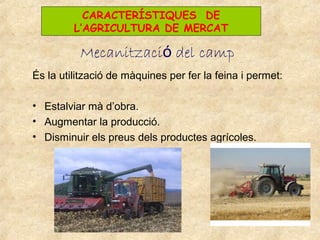 CARACTERÍSTIQUES DE
         L’AGRICULTURA DE MERCAT

          Mecanització del camp
És la utilització de màquines per fer la feina i permet:

• Estalviar mà d’obra.
• Augmentar la producció.
• Disminuir els preus dels productes agrícoles.
 