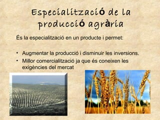 Especialitzaci ó de la
       producció agrària
És la especialització en un producte i permet:

• Augmentar la producció i disminuir les inversions.
• Millor comercialització ja que és coneixen les
  exigències del mercat
 
