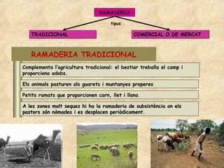 RAMADERIA

                                     tipus

   TRADICIONAL                                 COMERCIAL O DE MERCAT



   RAMADERIA TRADICIONAL
Complementa l’agricultura tradicional: el bestiar treballa el camp i
proporciona adobs.

Els animals pasturen als guarets i muntanyes properes

Petits ramats que proporcionen carn, llet i llana

A les zones molt seques hi ha la ramaderia de subsistència on els
pastors són nòmades i es desplacen periòdicament.
 