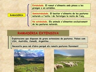 Estabulada. El ramat s'alimenta amb pinsos a les
                    granges o en estables.

                    Semiestabulada. El bestiar s'alimenta de les pastures
RAMADERIA           naturals a l'estiu i de farratges la resta de l'any.

                    No estabulada. Els animals s'alimenten exclusivament
                    de les pastures naturals.



      RAMADERIA EXTENSIVA
 Explotacions que disposen de grans extensions de pastures. Països com
 USA, Austràlia, Canadà, Argentina...

 Necessita poca mà d’obra perquè els ramats pasturen lliurement
 