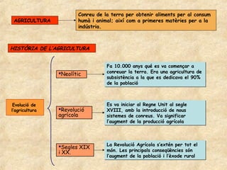 Conreu de la terra per obtenir aliments per al consum
 AGRICULTURA           humà i animal; així com a primeres matèries per a la
                       indústria.



HISTÒRIA DE L’AGRICULTURA


                                  Fa 10.000 anys qué es va començar a
                Neolític         conreuar la terra. Era una agricultura de
                                  subsistència a la que es dedicava el 90%
                                  de la població



 Evolució de                      Es va iniciar al Regne Unit al segle
l’agricultura   Revolució        XVIII, amb la introducció de nous
                agrícola          sistemes de conreus. Va significar
                                  l’augment de la producció agrícola




                Segles XIX       La Revolució Agrícola s’extén per tot el
                i XX.             món. Les principals conseqüències són
                                  l’augment de la població i l’èxode rural
 
