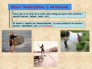 PESCA TRADICIONAL O ARTESANAL

 Pesca que es fa prop de la costa amb ormeig de pesca molt primitius i
 sencills (xarxes, nanses, hams, etc)


 Es manté a regions poc desenvolupades. La seva producció és escassa i
 serveix, bàsicament, per a l’autoconsum
 