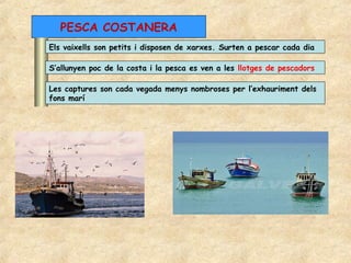 PESCA COSTANERA
Els vaixells son petits i disposen de xarxes. Surten a pescar cada dia

S’allunyen poc de la costa i la pesca es ven a les llotges de pescadors

Les captures son cada vegada menys nombroses per l’exhauriment dels
fons marí
 