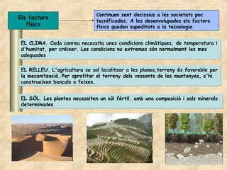 Continuen sent decissius a les societats poc
Els factors
                               tecnificades. A les desenvolupades els factors
   físics                      físics queden supeditats a la tecnologia


 EL CLIMA. Cada conreu necessita unes condicions climàtiques, de temperatura i
 d'humitat, per créixer. Les condicions no extremes són normalment les mes
 adequades

 EL RELLEU. L'agricultura se sol localitzar a les planes,terreny és favorable per
 la mecanització. Per aprofitar el terreny dels vessants de les muntanyes, s'hi
 construeixen bancals o feixes.


 EL SÒL. Les plantes necessiten un sòl fèrtil, amb una composició i sals minerals
 determinades
 