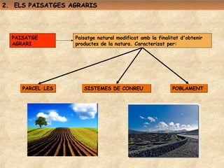 2. ELS PAISATGES AGRARIS




  PAISATGE        Paisatge natural modificat amb la finalitat d'obtenir
  AGRARI          productes de la natura. Caracterizat per:




     PARCEL·LES      SISTEMES DE CONREU                   POBLAMENT
 