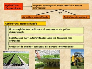 Agricultura                Objectiu: aconseguir el màxim benefici al mercat
d’especulació              internacional

    ...