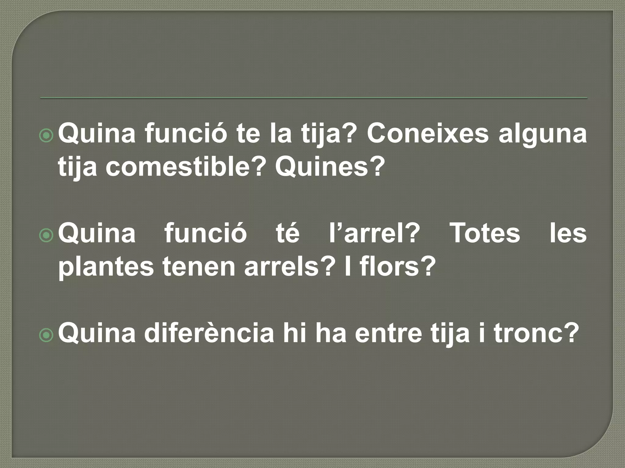  Quina funció te la tija? Coneixes alguna
 tija comestible? Quines?

 Quina  funció té l’arrel? Totes          les
 plantes tenen arrels? I flors?

 Quina   diferència hi ha entre tija i tronc?
 