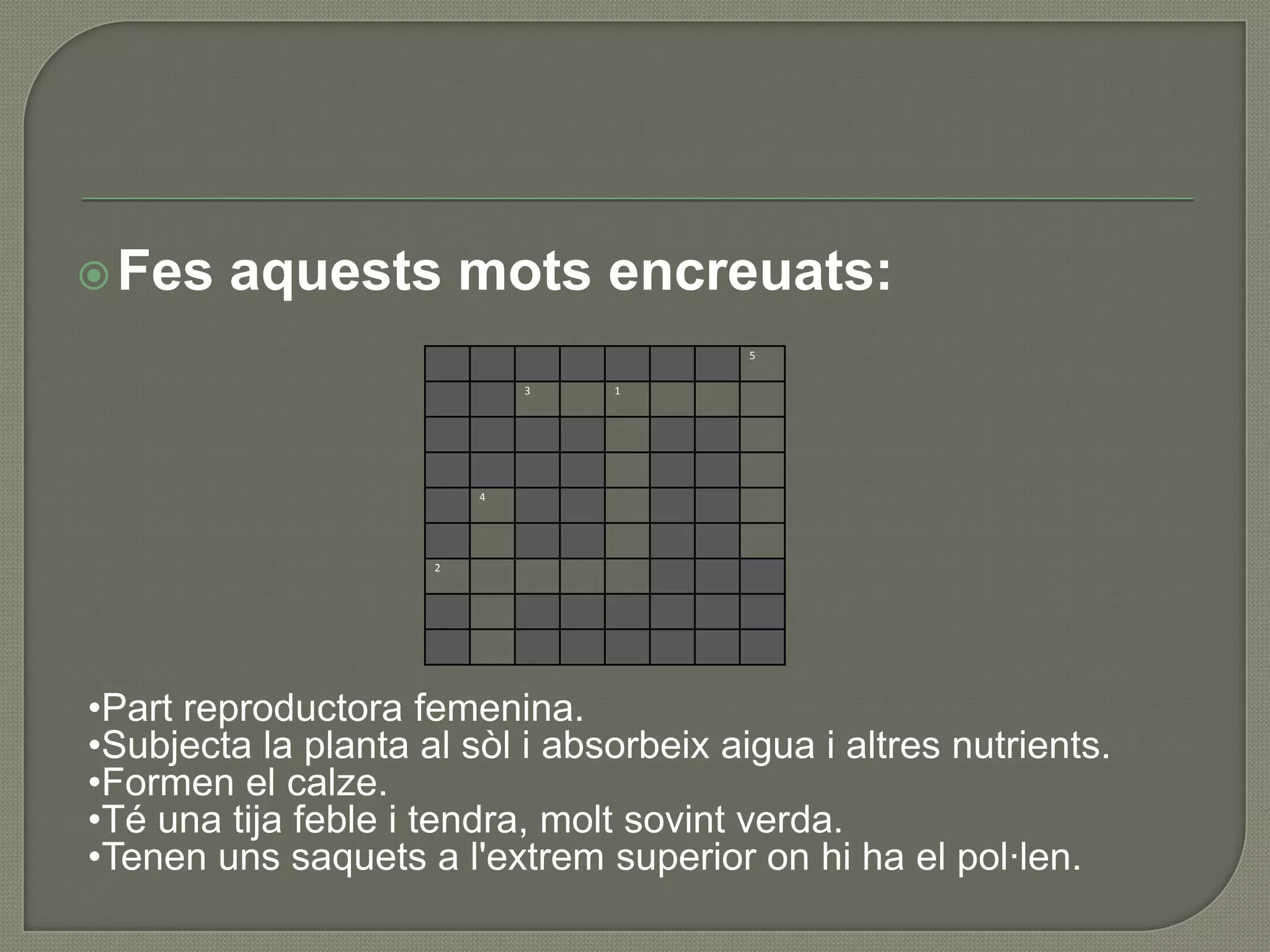  Fes   aquests mots encreuats:
                                         5

                             3   1




                         4




                     2




•Part reproductora femenina.
•Subjecta la planta al sòl i absorbeix aigua i altres nutrients.
•Formen el calze.
•Té una tija feble i tendra, molt sovint verda.
•Tenen uns saquets a l'extrem superior on hi ha el pol·len.
 