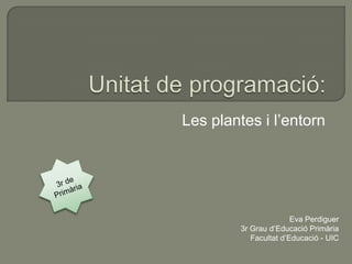 Les plantes i l’entorn




                        Eva Perdiguer
         3r Grau d’Educació Primària
            Facultat d’Educació - UIC
 