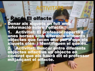 ACTIVITATS
1. Racó: El olfacte
   Donar als xiquets un full amb
    informació sobre l’olfacte.
    1. Activitat: El professor repartirà
    unes borses amb diferents aliments i
    objectes que facen olor per a que els
    xiquets olen i identifiquen el que és.
    2. Activitat: Buscar entre diferents
    objectes olfactius un objecte en
    concret que els haurà dit el professor
    mitjançant el olfacte.
 