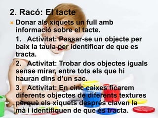 2. Racó: El tacte
   Donar als xiquets un full amb
    informació sobre el tacte.
    1. Activitat: Passar-se un objecte per
    baix la taula per identificar de que es
    tracta.
    2. Activitat: Trobar dos objectes iguals
    sense mirar, entre tots els que hi
    hauran dins d’un sac.
    3. Activitat: En cinc caixes ficarem
    diferents objectes de diferents textures
    perquè els xiquets després claven la
    mà i identifiquen de que és tracta.
 