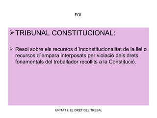 FOL TRIBUNAL CONSTITUCIONAL:   Resol sobre els recursos d´inconstitucionalitat de la llei o recursos d´empara interposats per violació dels drets fonamentals del treballador recollits a la Constitució. 