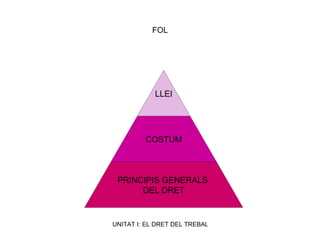 FOL LLEI COSTUM PRINCIPIS GENERALS  DEL DRET 