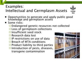 Risk management in ILRI 