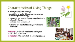 Characteristics of LivingThings
2. All organisms need energy
• the ability to make things move or change
everything needs energy
• organisms get energy from the environment:
• plants by the sun
• animals from environment
• nutrients are needed to grow, develop and
reproduce.
Nutrients: chemicals needed to aid in your
bodies daily processes.
Metabolism: the sum of all chemical processes
 