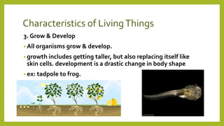 Characteristics of LivingThings
3. Grow & Develop
• All organisms grow & develop.
• growth includes getting taller, but also replacing itself like
skin cells. development is a drastic change in body shape
• ex: tadpole to frog.
 