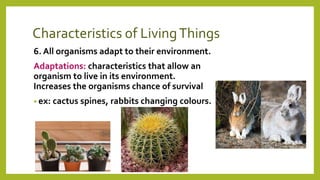 Characteristics of LivingThings
6. All organisms adapt to their environment.
Adaptations: characteristics that allow an
organism to live in its environment.
Increases the organisms chance of survival
• ex: cactus spines, rabbits changing colours.
 