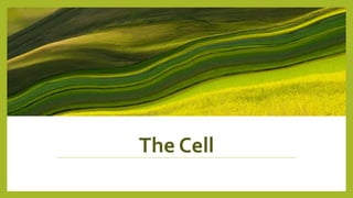 The Cell
 