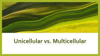 Unicellular vs. Multicellular
 