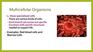 Multicellular Organisms
• 1. Have specialized cells
• There are various kinds of cells.
• Each kind of cell carries out specific
functions with specific structures
needed to support life.
• Examples: Red blood cells and
Marrow Cells
 