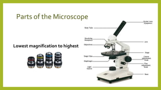 Parts of the Microscope
Lowest magnification to highest
 