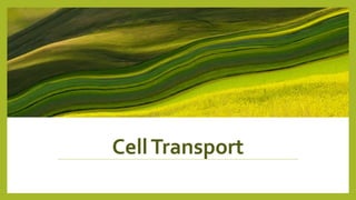 CellTransport
 