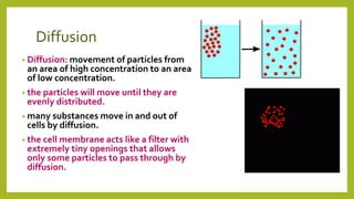 Diffusion
• Diffusion: movement of particles from
an area of high concentration to an area
of low concentration.
• the particles will move until they are
evenly distributed.
• many substances move in and out of
cells by diffusion.
• the cell membrane acts like a filter with
extremely tiny openings that allows
only some particles to pass through by
diffusion.
 