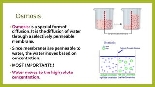 Osmosis
• Osmosis: is a special form of
diffusion. It is the diffusion of water
through a selectively permeable
membrane.
• Since membranes are permeable to
water, the water moves based on
concentration.
• MOST IMPORTANT!!!
• Water moves to the high solute
concentration.
 