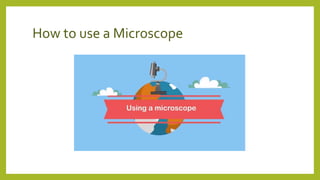 How to use a Microscope
 