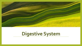 Digestive System
 
