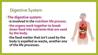 Digestive System
•The digestive system:
•is involved in the nutrition life process.
•the organs work together to break
down food into nutrients that are used
by the body.
•the food matter that isn’t used by the
body is expelled as waste, another one
of the life processes.
 