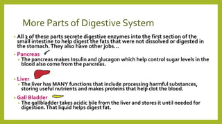 More Parts of Digestive System
• All 3 of these parts secrete digestive enzymes into the first section of the
small intestine to help digest the fats that were not dissolved or digested in
the stomach.They also have other jobs...
• Pancreas
• The pancreas makes Insulin and glucagon which help control sugar levels in the
blood also come from the pancreas.
• Liver
• The liver has MANY functions that include processing harmful substances,
storing useful nutrients and makes proteins that help clot the blood.
• Gall Bladder
• The gallbladder takes acidic bile from the liver and stores it until needed for
digestion.That liquid helps digest fat.
 