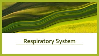 Respiratory System
 