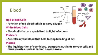 Blood
Red Blood Cells
• Function of red blood cells is to carry oxygen
White Blood Cells
• Blood cells that are specialized to fight infections.
Platelets
• Are cells in your blood that help to stop bleeding at cut
Plasma
• The liquid portion of your blood, transports nutrients to your cells and
carries wastes, such as carbon dioxide away.
 