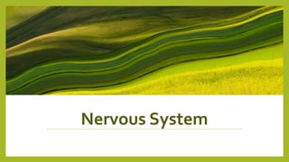 Nervous System
 