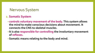 Nervous System
2. Somatic System
• controls voluntary movement of the body.This system allows
the mind to make conscious decisions about movement. It
connects the CNS to skeletal muscles.
• It is also responsible for controlling the involuntary movement
of reflexes.
• Somatic means relating to the body and mind.
 