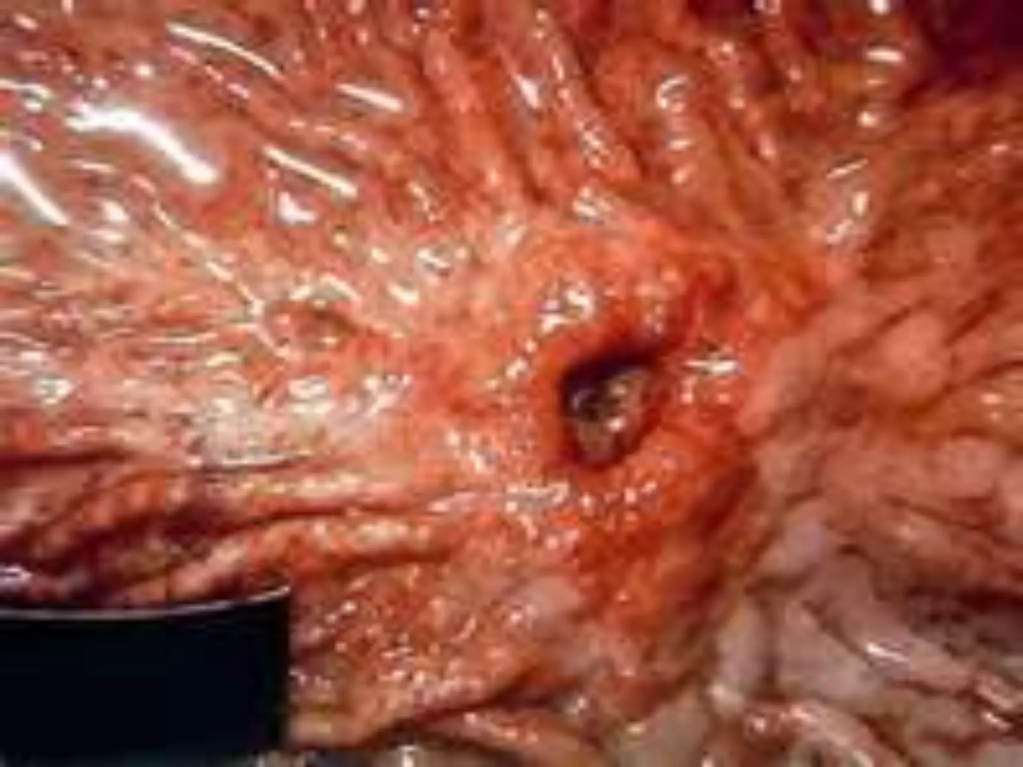 Unit b section  - 4.2 factors that affect the body