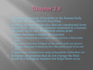    There are thousands of proteins in the human body
    and they all have different functions
   Proteins are macromolecules that are constructed from
    amino acids, and all the proteins constuted in a human
    are made up of only 20 different amino acids
   Protein structure is makes the function
       Primary structure is when each amino acid has a three letter
        code
       Secondary structure is based on the amino acids are spaced
       Tertiary structure is based on how the amino acids twist and
        fold
       Quaternary structure how many polypeptide chains there are
   Enzymes are proteins that do not change the final
    result of a biological reaction but helps them occur
 