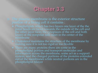    The plasma membrane is the exterior structure
    portion of a living cell it contains :
     Phospholipids which has two layers one layer of the the
      polar heads are faced towards the outside of the cell and
      the other layer faces the cytoplasm of the cell and both
      layers of the nonpolar tails meet in the center of the
      membrane
     Cholesterol maintains the structure of the membrane by
      making sure it is not too rigid or too flexible
     There are many proteins there are some in the
      phospholipid portion and transport molecules and
      information across the membrane, some act as a support
      system, and the charged portions of the proteins extended
      out of the membranes while neutral portions are in the
      phospholipid bilayer
 